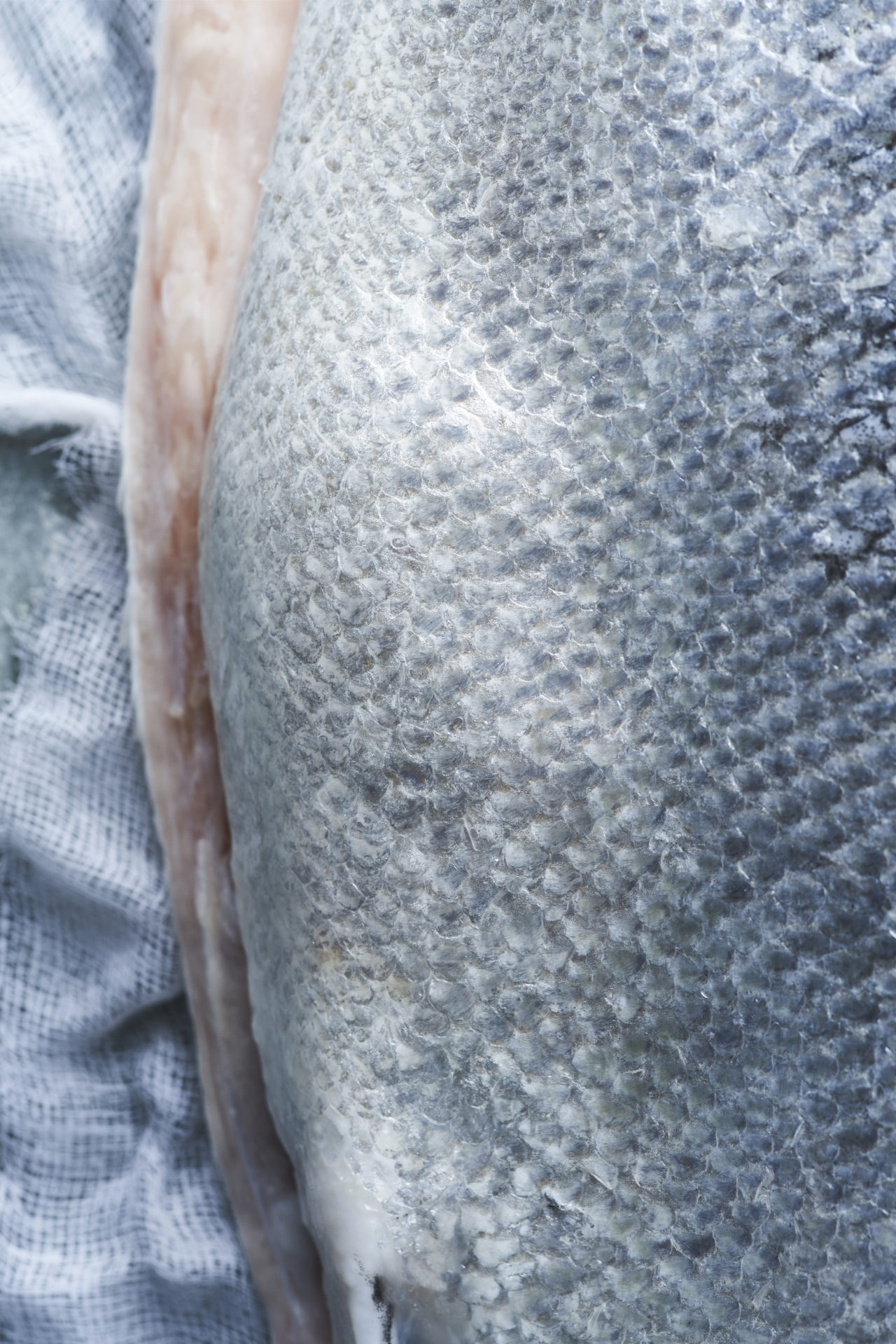 LPFSF_CAMPAGNE 20222213_HD