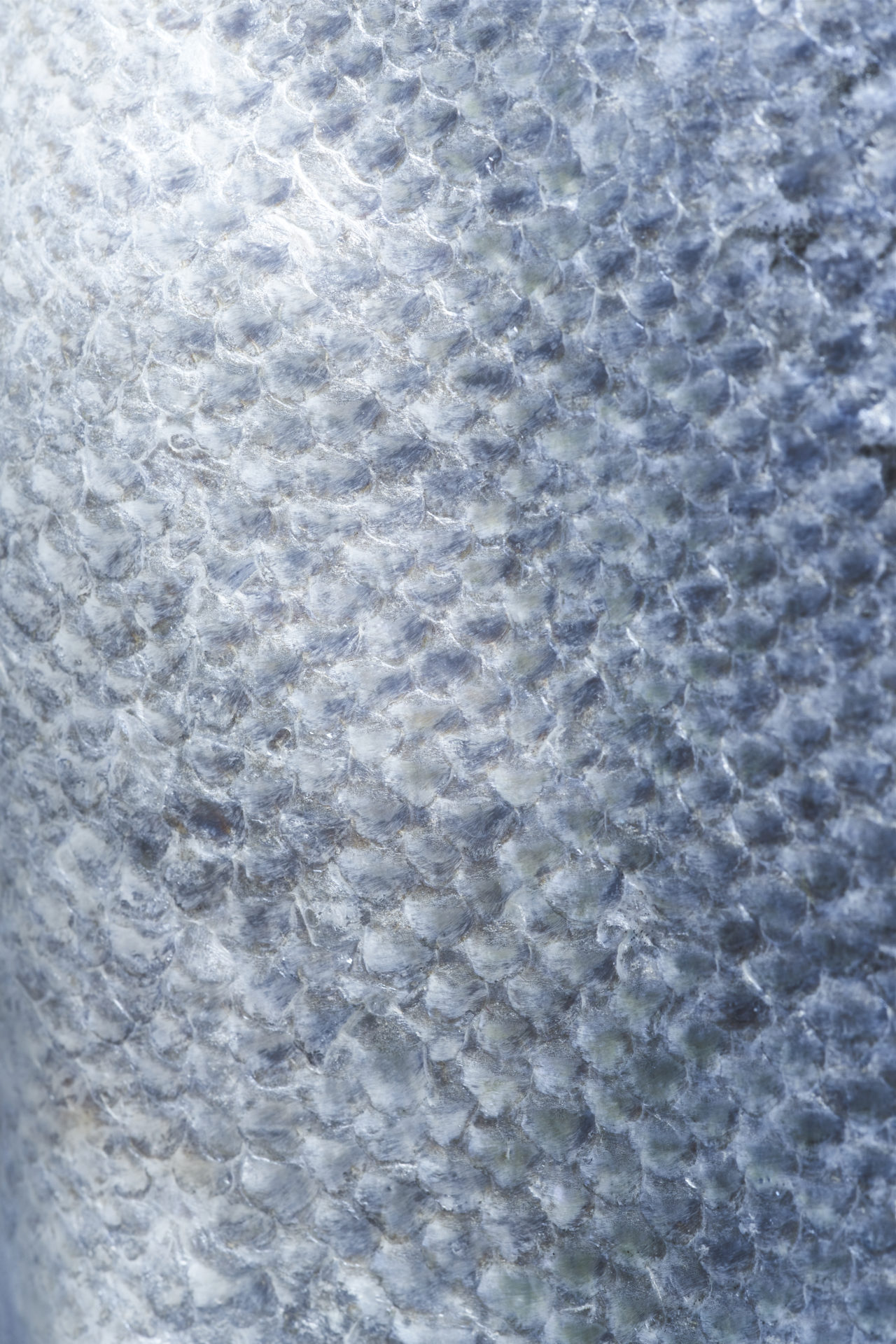 LPFSF_CAMPAGNE 20222220_HD