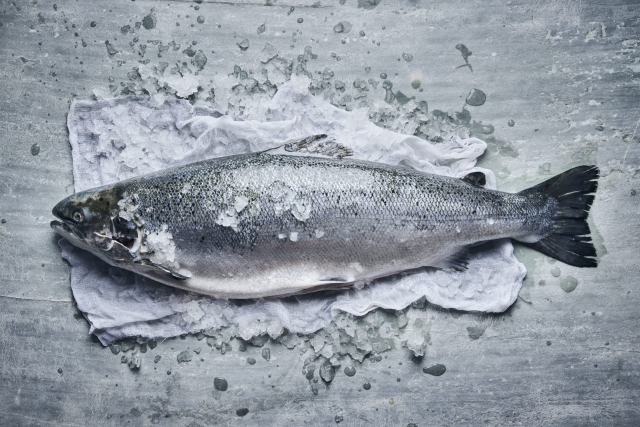 LPFSF_CAMPAGNE 20222221_HD_V2