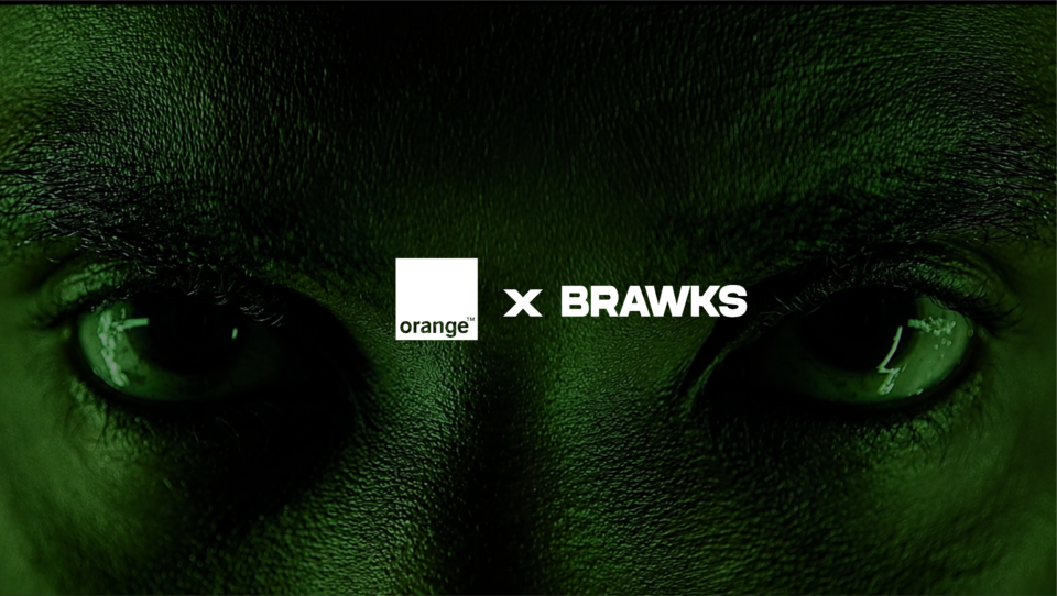 orangexbrawks minia